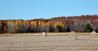 Autumn Field with Bails of Hay