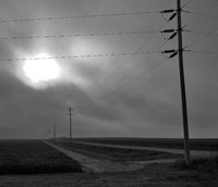 Fog and Power Lines