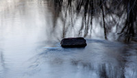 Meditation Rock