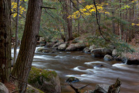 Autumn of the Banks of the Little Wolf River
