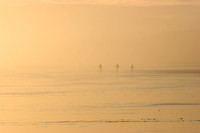 On the Beach #5 at Wickaninnish Bay