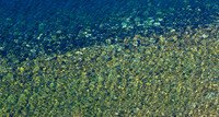 Rocks at the Foot of Ellison Bay Bluff