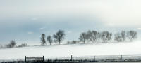 _F7A8598-Edit.jpg
